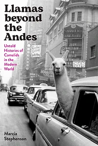 Llamas beyond the Andes: Untold Histories of Camelids in the Modern World