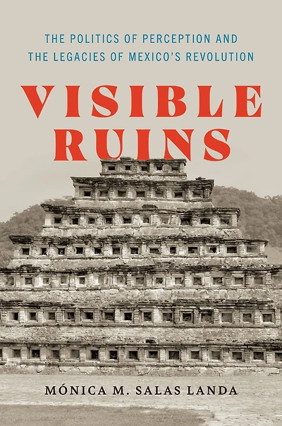 Visible Ruins: The Politics of Perception and the Legacies of Mexico's Revolution