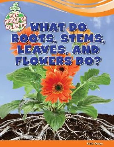 What Do Roots, Stems, Leaves, and Flowers Do?