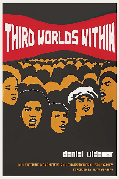 Third Worlds Within: Multiethnic Movements and Transnational Solidarity