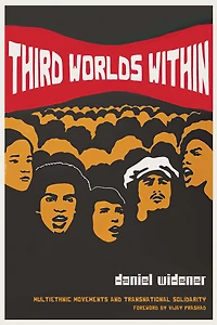 Third Worlds Within: Multiethnic Movements and Transnational Solidarity
