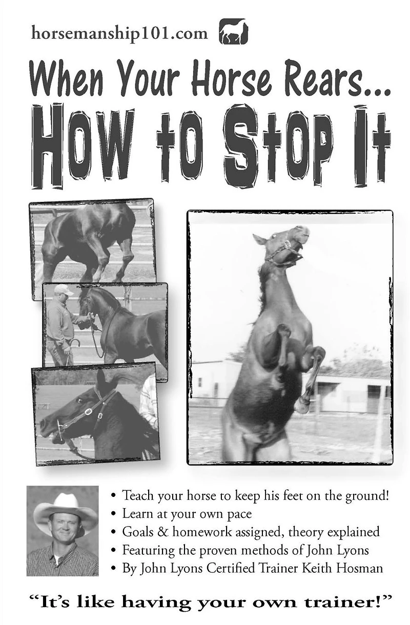 When Your Horse Rears: How to Stop It (Horse Training How-To, #6)