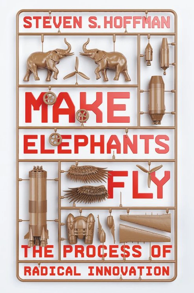 Make Elephants Fly: The Process of Radical Innovation