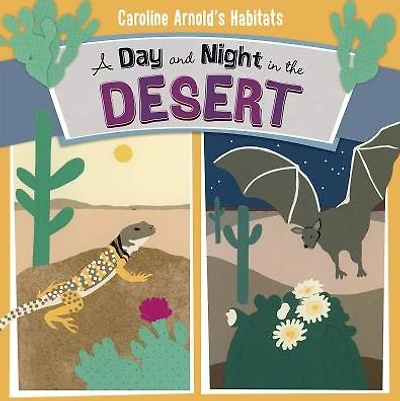 A Day and Night in the Desert