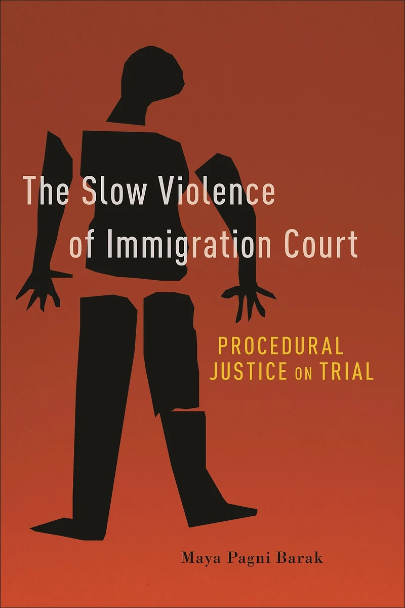The Slow Violence of Immigration Court: Procedural Justice on Trial