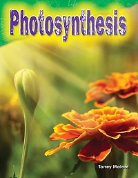 Photosynthesis (Content and Literacy in Science Grade 3)