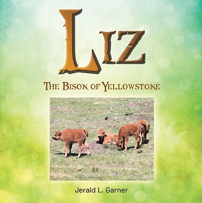 Liz: The Bison of Yellowstone