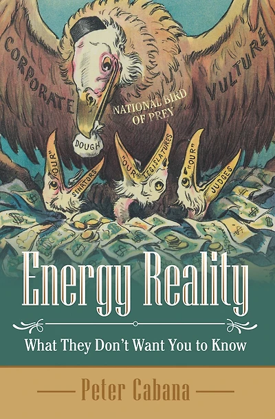 Energy Reality: What They Don'T Want You to Know