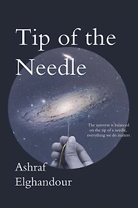 Tip of the Needle