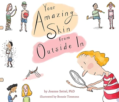 Your Amazing Skin from Outside