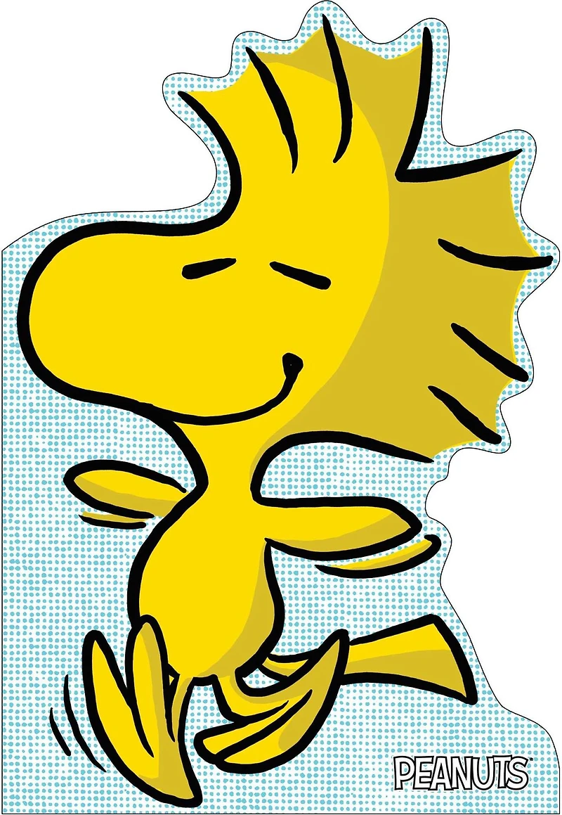 A Best Friend for Woodstock: With Audio Recording