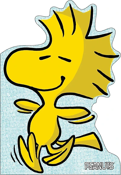 A Best Friend for Woodstock: With Audio Recording