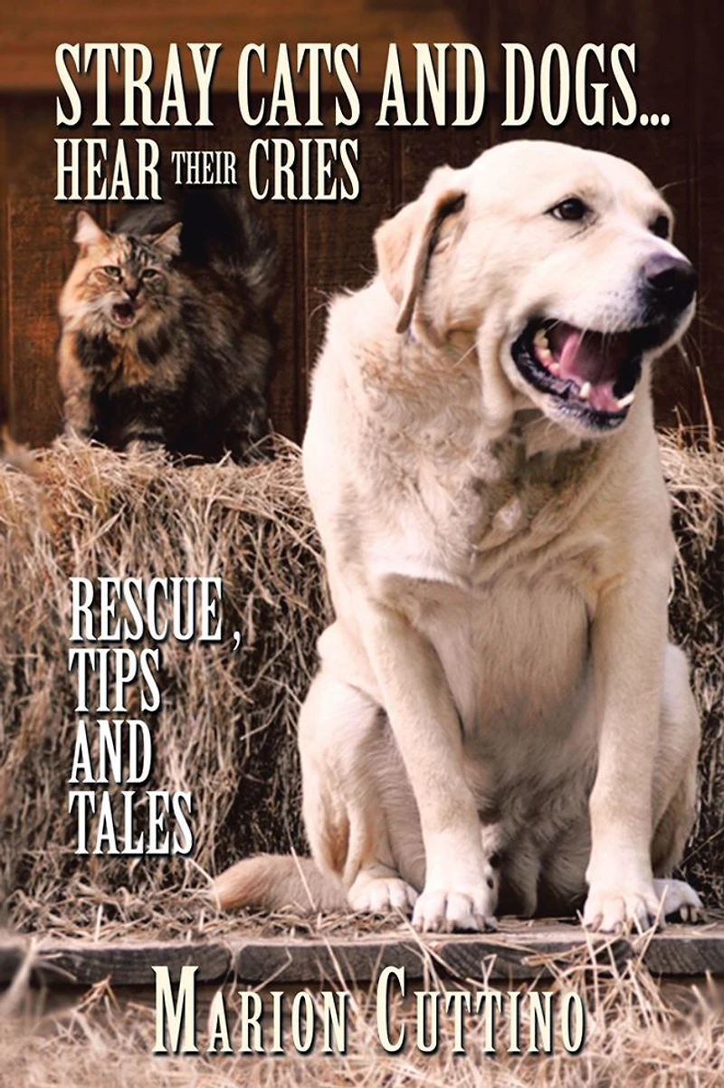 Stray Cats and Dogs...Hear Their Cries: Rescue ,Tips and Tales