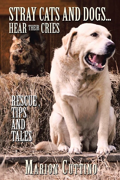 Stray Cats and Dogs...Hear Their Cries: Rescue ,Tips and Tales