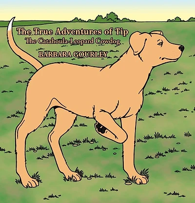 the True Adventures of Tip Catahoula-Leopard Cowdog