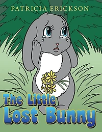 The Little Lost Bunny