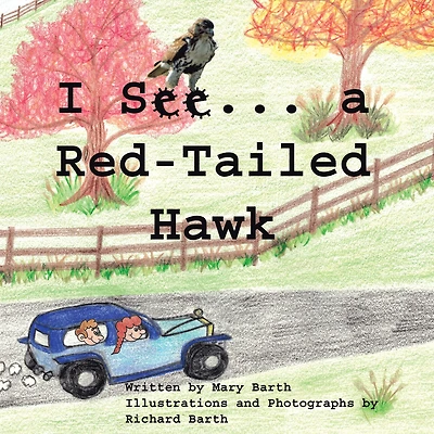 I See . . . a Red-Tailed Hawk