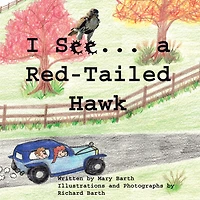 I See . . . a Red-Tailed Hawk