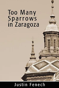 Too Many Sparrows In Zaragoza