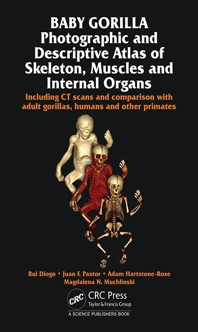 Baby Gorilla: Photographic and Descriptive Atlas of Skeleton, Muscles and Internal Organs