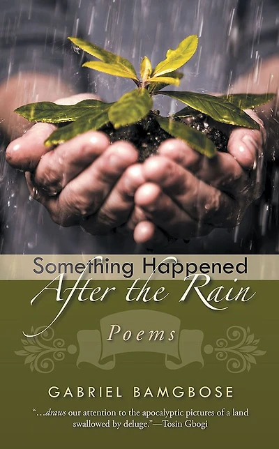 Something Happened After the Rain: Poems