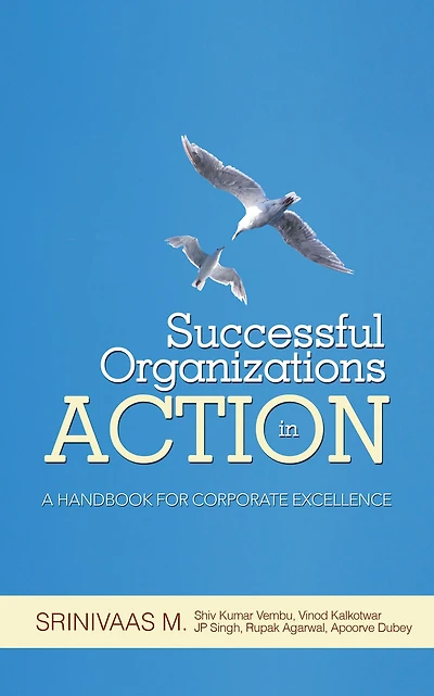 Successful Organizations in Action: A HANDBOOK FOR CORPORATE EXCELLENCE