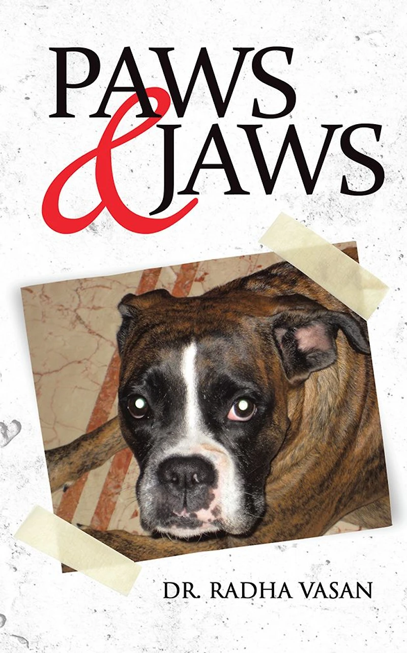 Paws & Jaws