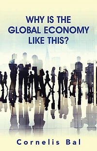 Why Is the Global Economy Like This?
