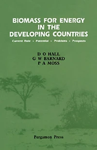 Biomass for Energy in the Developing Countries: Current Role, Potential, Problems, Prospects