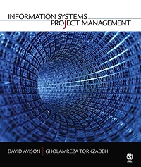 Information Systems Project Management