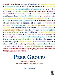 Peer Groups: Expanding Our Study of Small Group Communication