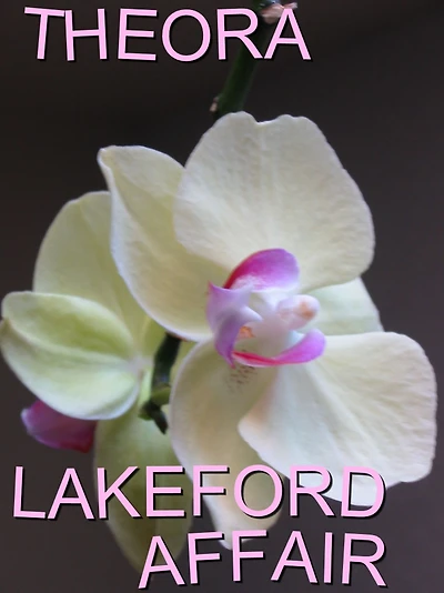 Lakeford Affair: A Romance Novel