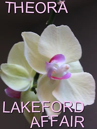 Lakeford Affair: A Romance Novel