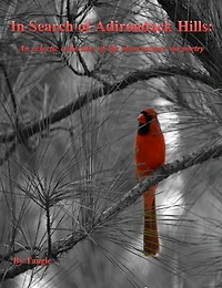 In Search of Adirondack Hills: An Eclectic Collection of Life Observations via Poetry