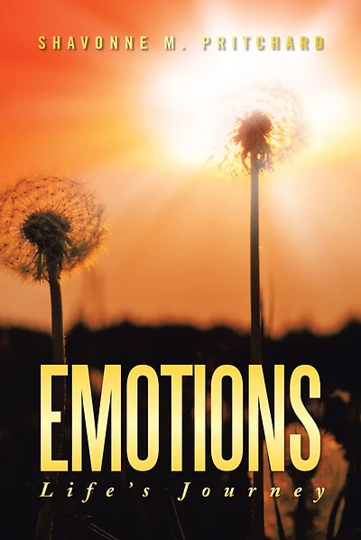 EMOTIONS: Life's Journey