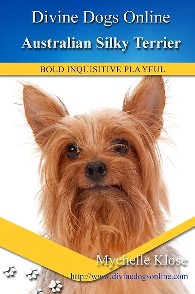 Australian Silky Terrier: Divine Dogs Online