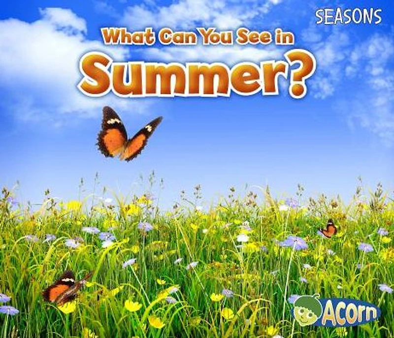 What Can You See Summer?