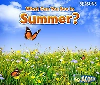 What Can You See Summer?