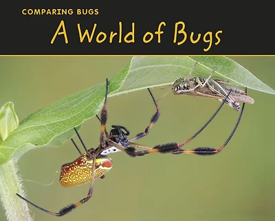 World of Bugs
