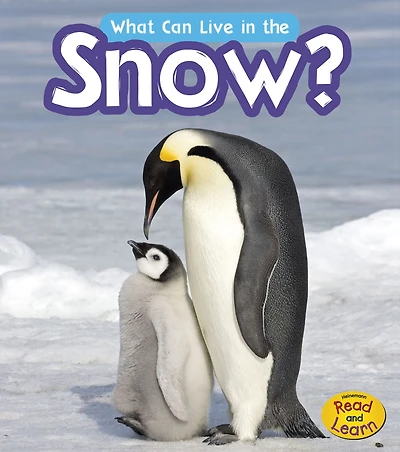 What Can Live in the Snow?