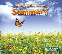 What Can You See Summer?