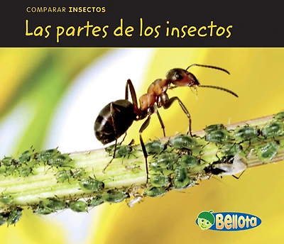 Las partes de los insectos (Bug Parts)