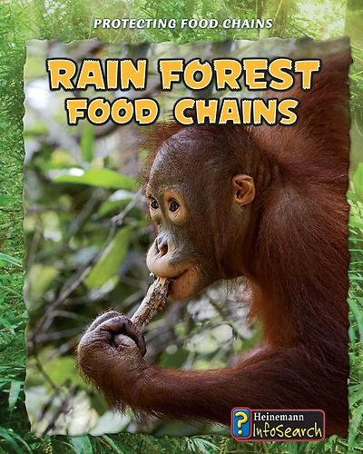 Rain Forest Food Chains
