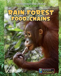Rain Forest Food Chains