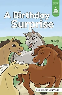 A Birthday Surprise
