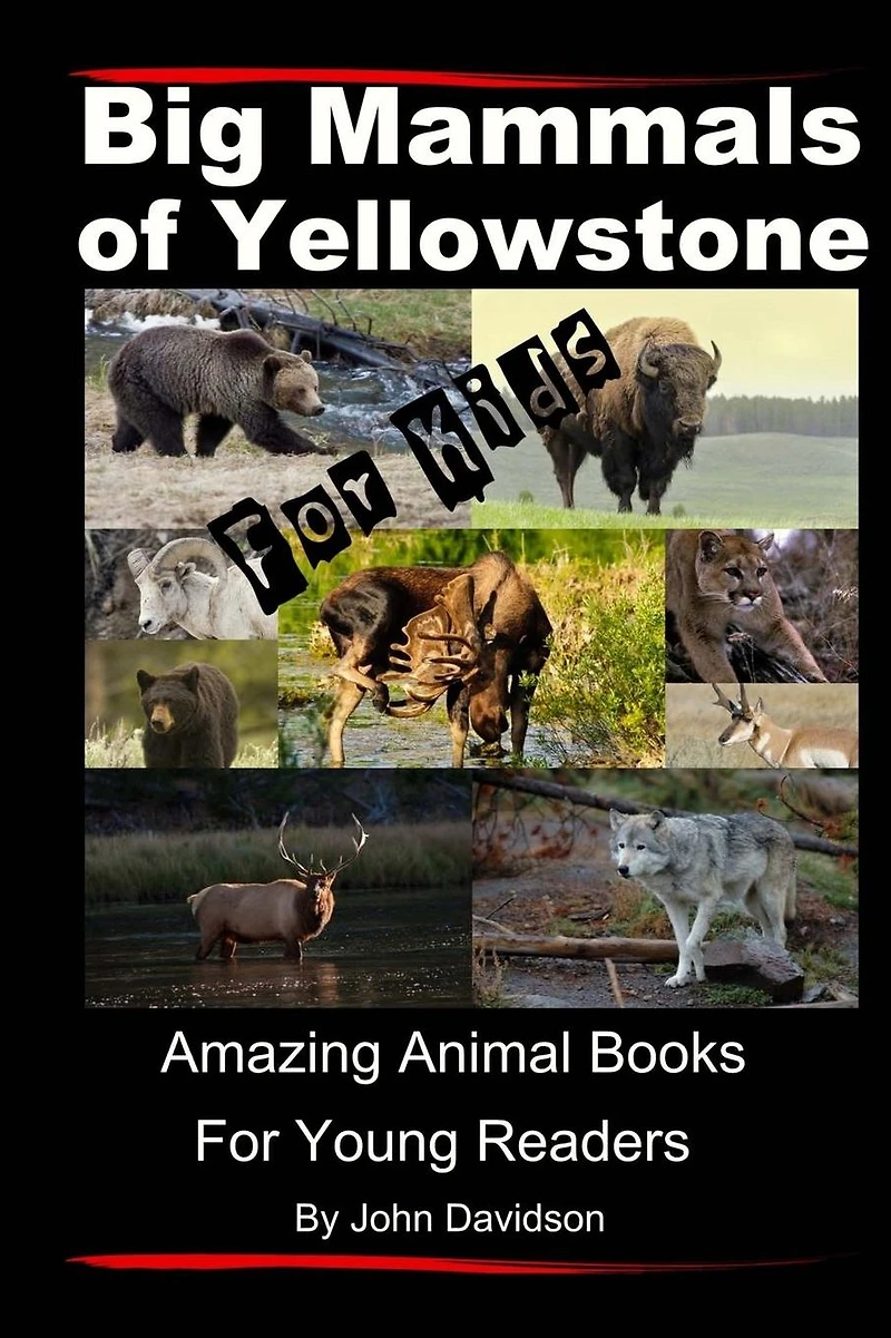 Big Mammals Of Yellowstone for Kids: Amazing Animal Books Young Readers