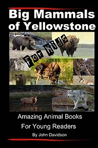Big Mammals Of Yellowstone for Kids: Amazing Animal Books Young Readers