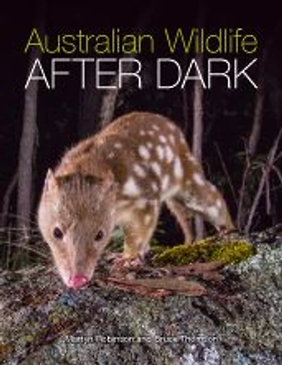 Australian Wildlife After Dark