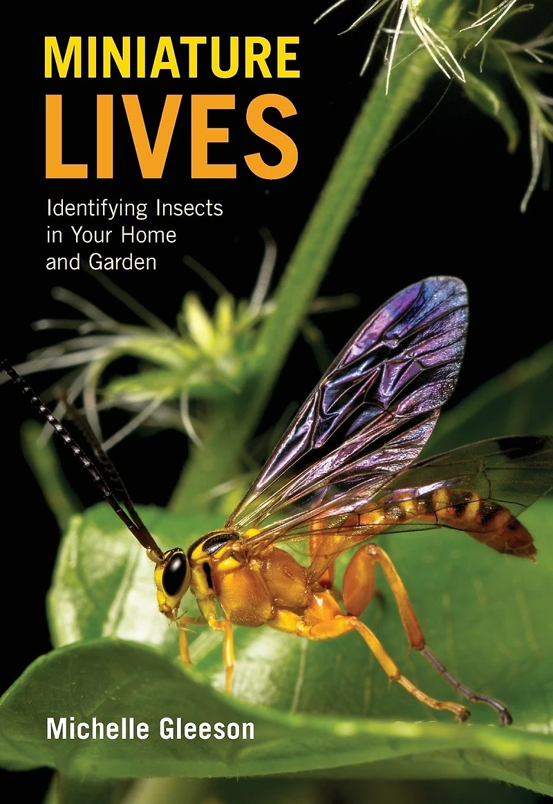 Miniature Lives: Identifying Insects Your Home and Garden