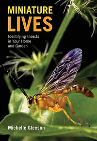 Miniature Lives: Identifying Insects Your Home and Garden